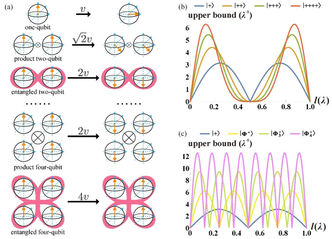 中国科大实现多体量子速度极限