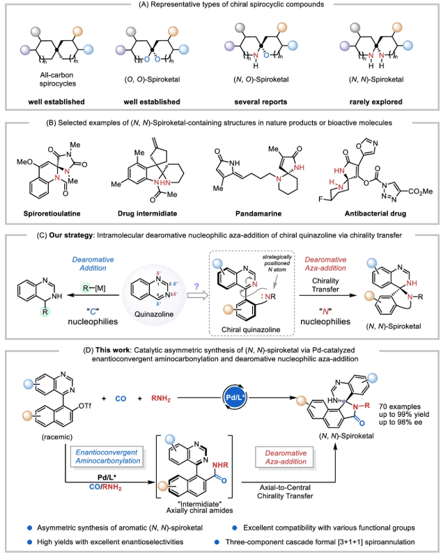 上海交大刘家旺/高申团队实现对映收敛的胺羰化串联分子内去芳构化氮杂加成反应合成手性螺环二胺