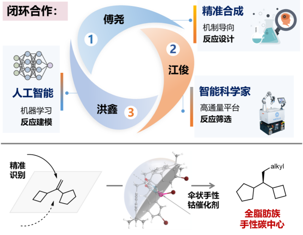 “智能科学家”助力全脂肪族手性碳中心精准构建