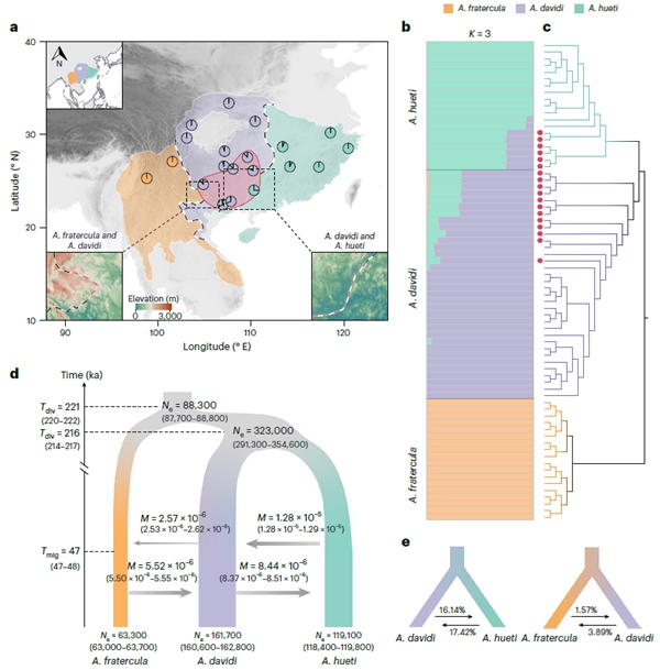 基因渐渗增强山地鸟类对气候变化适应性研究获进展