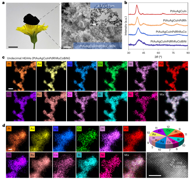 北理工团队在低温冰介导制备高熵合金及控冰领域取得新进展