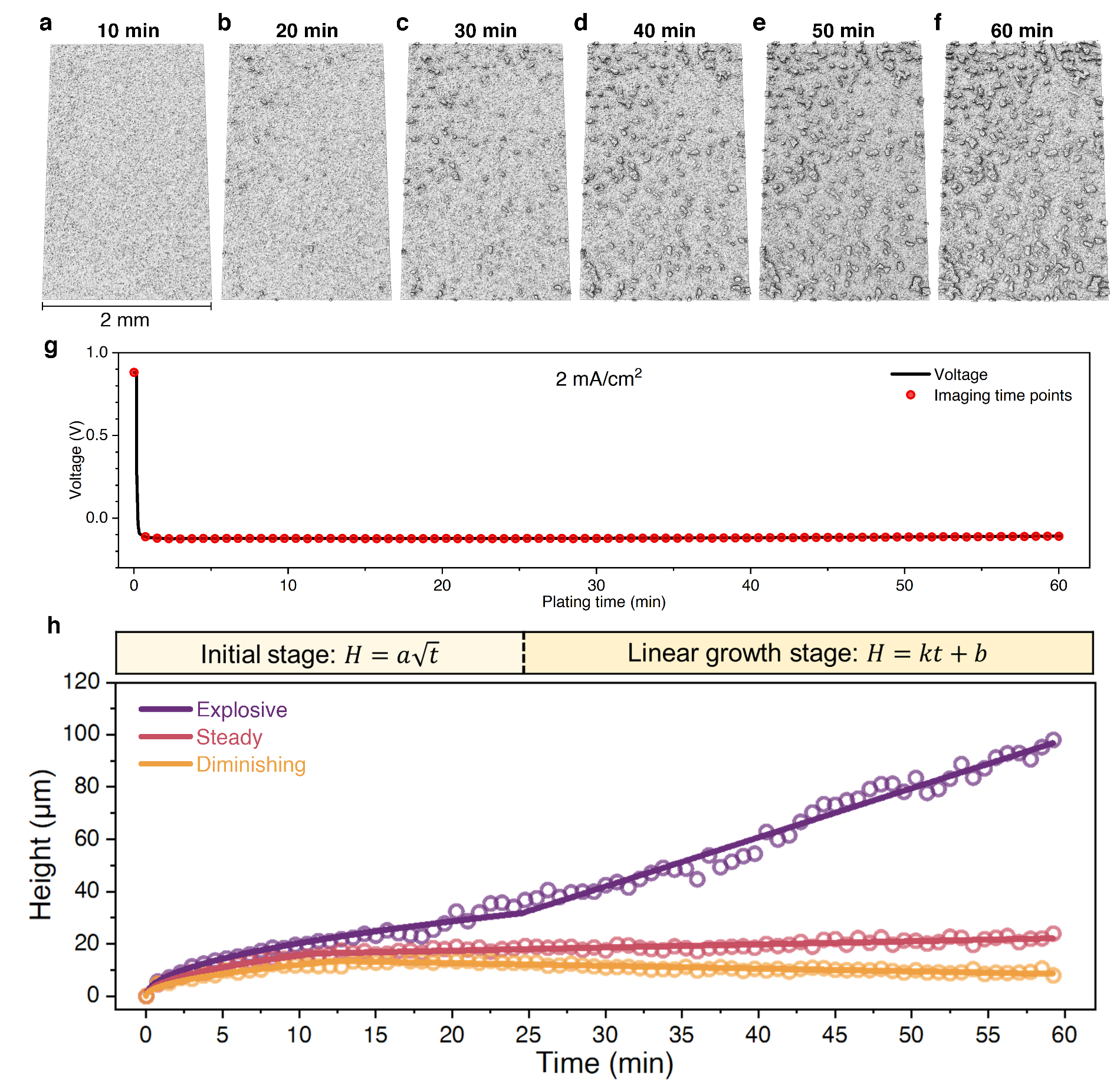 交大溥渊教授薄首行在《美国化学会志》发文:创新电池工况三维成像,定量揭示锂金属微观沉积行为