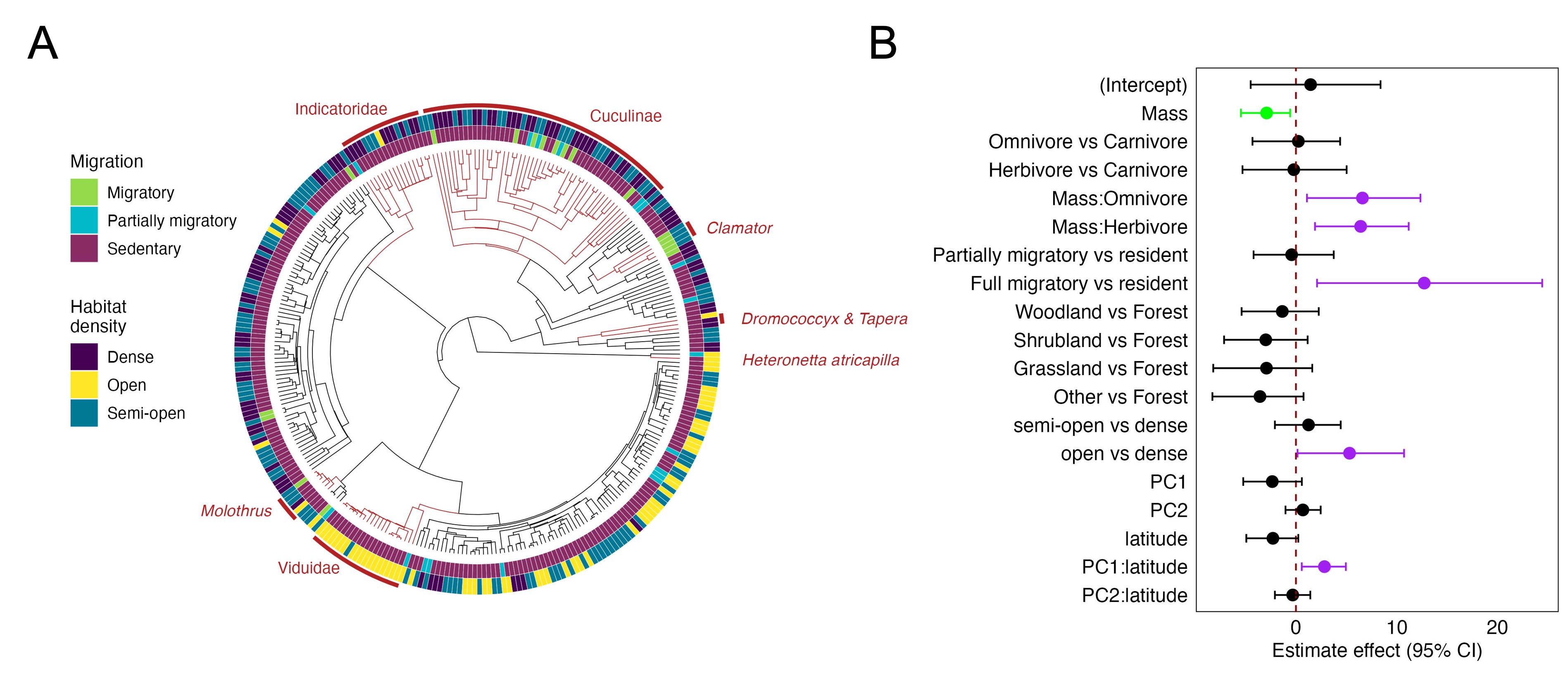 北京师范大学生命科学学院吕楠课题组在Science Advances发文揭示鸟类巢寄生的起源与演化机制