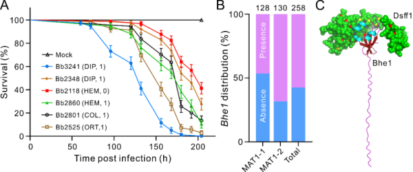 研究提出白僵菌偏好感染不同昆虫寄主的作用机制