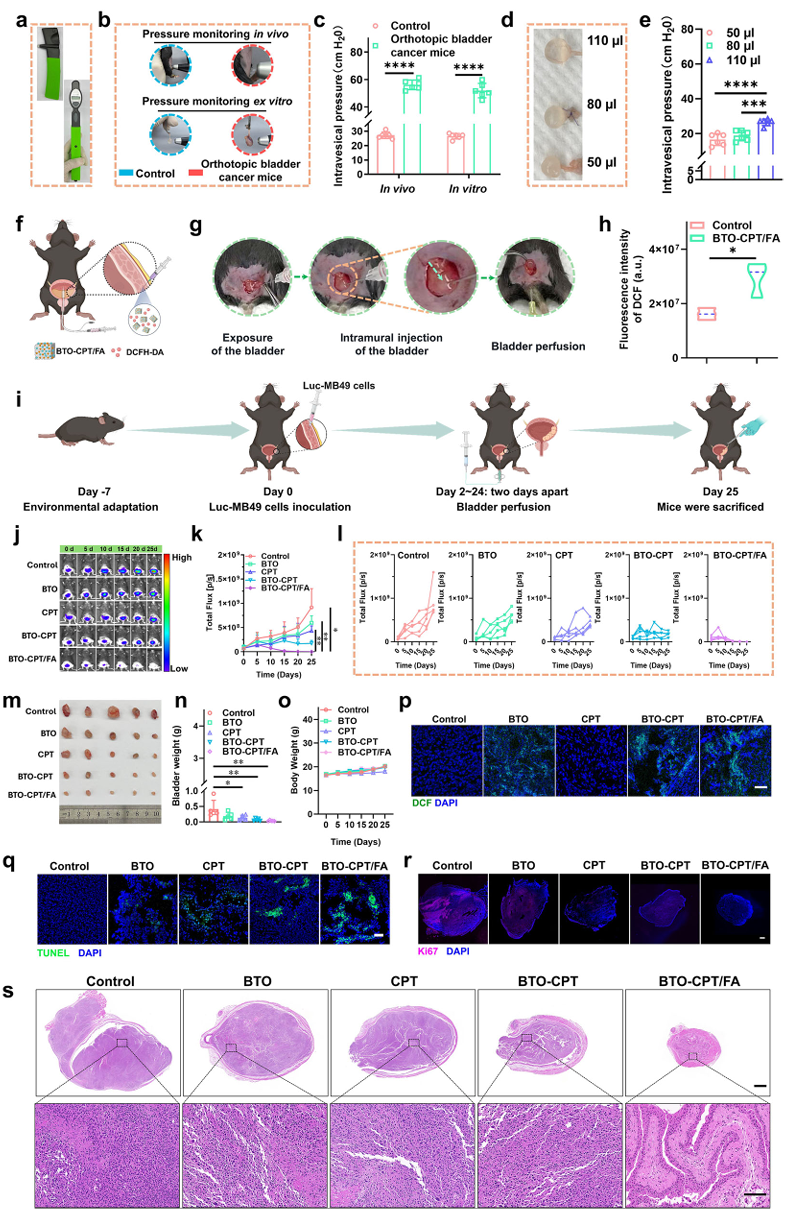 电子科技大学医学院石毅教授团队在Nature Communications上发表医工结合新成果