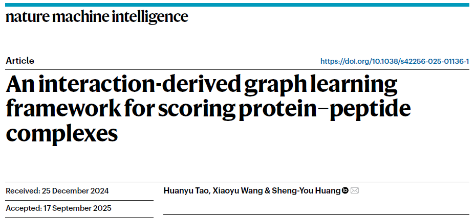 华中科技大学物理学院黄胜友团队蛋白质-多肽相互作用预测研究获进展