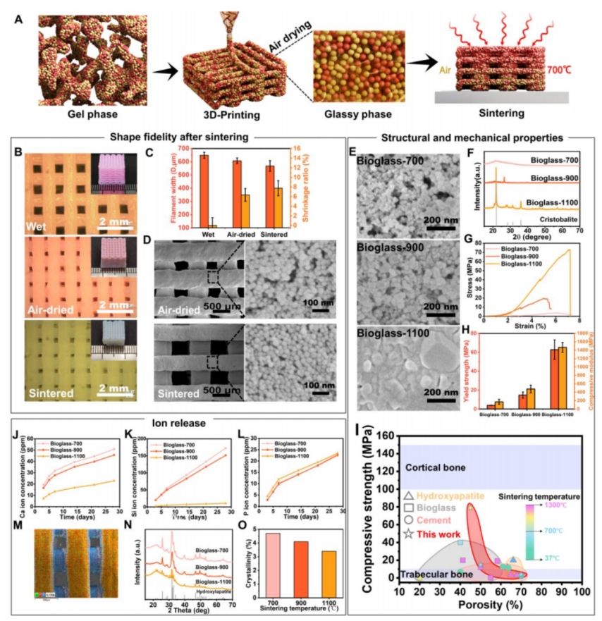 大连理工大学生物工程学院科研团队在生物材料与3D打印交叉领域取得突破性进展