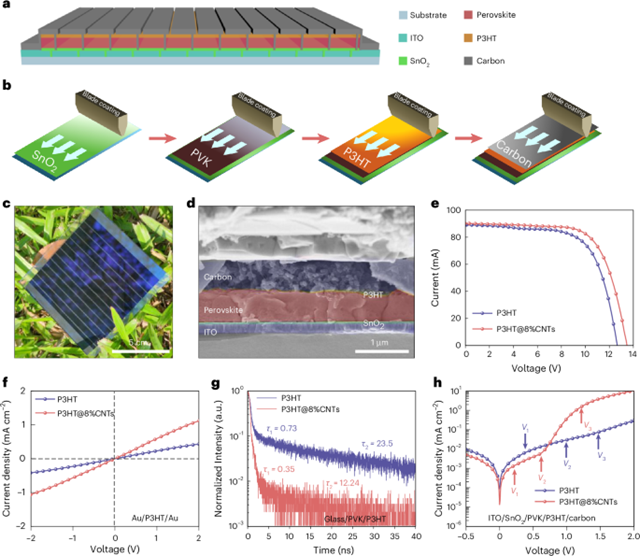北理工团队在全印刷钙钛矿模组研究中取得重要进展