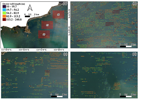 中国海洋大学在渔业遥感领域取得新进展