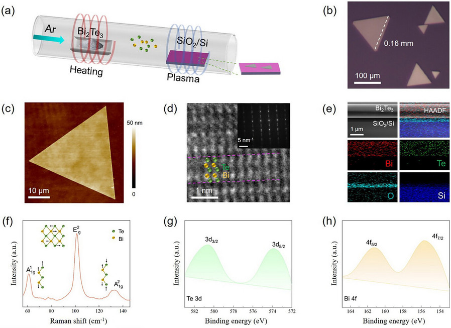 哈工大王金忠教授团队为提升二维单晶材料的硅基兼容性提供新思路