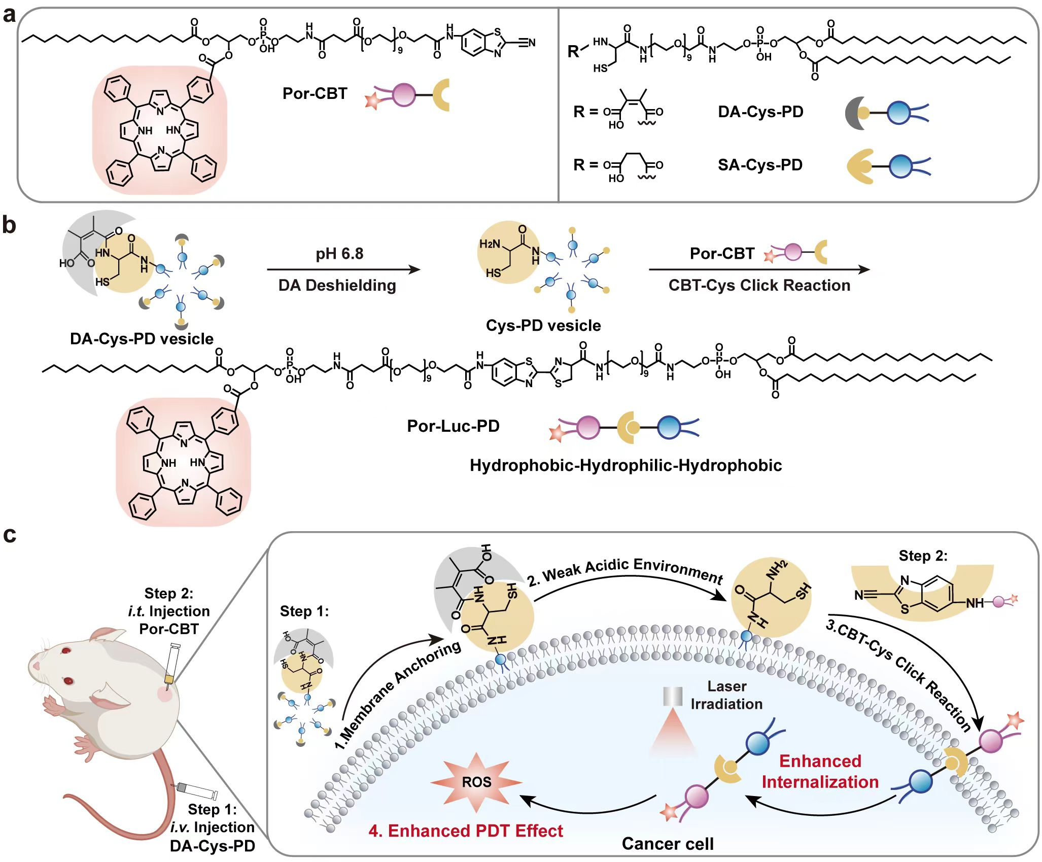 东南大学梁高林团队在《J. Am. Chem. Soc.》发表最新研究成果