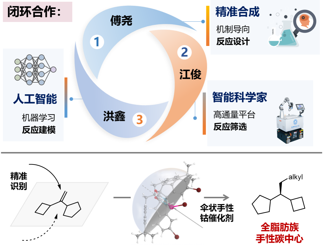 中国科大“智能科学家”助力全脂肪族手性碳中心精准构建