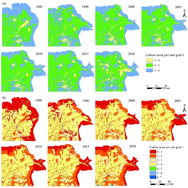研究评估土壤无机碳对黄河三角洲生态系统总碳储量贡献