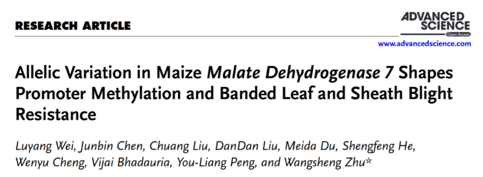 中国农业大学植保学院朱旺升研究团队发现ZmWRKY44-ZmRRS1模块正调控玉米纹枯病抗性