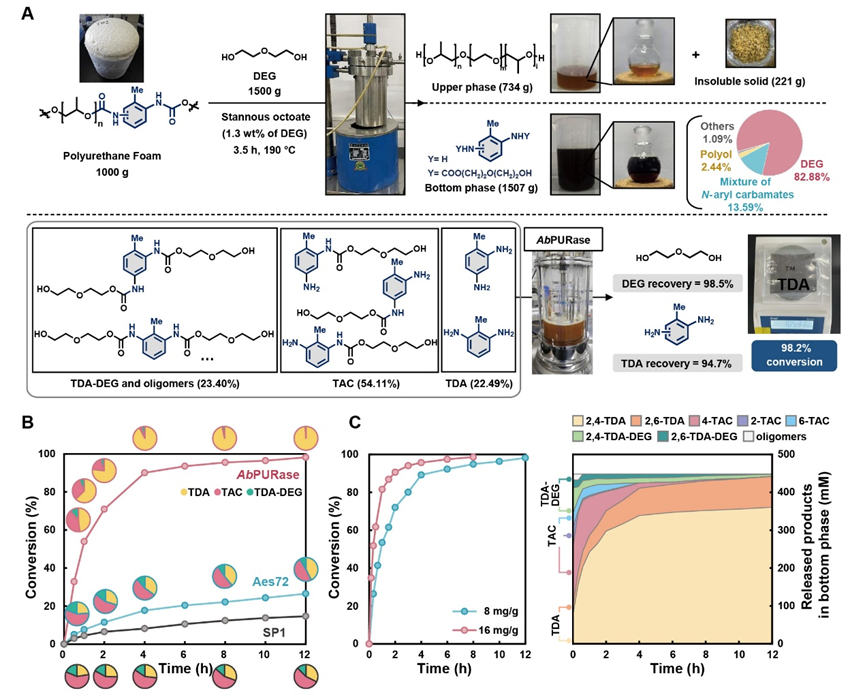 吴边/崔颖璐团队在Science刊发最新研究成果