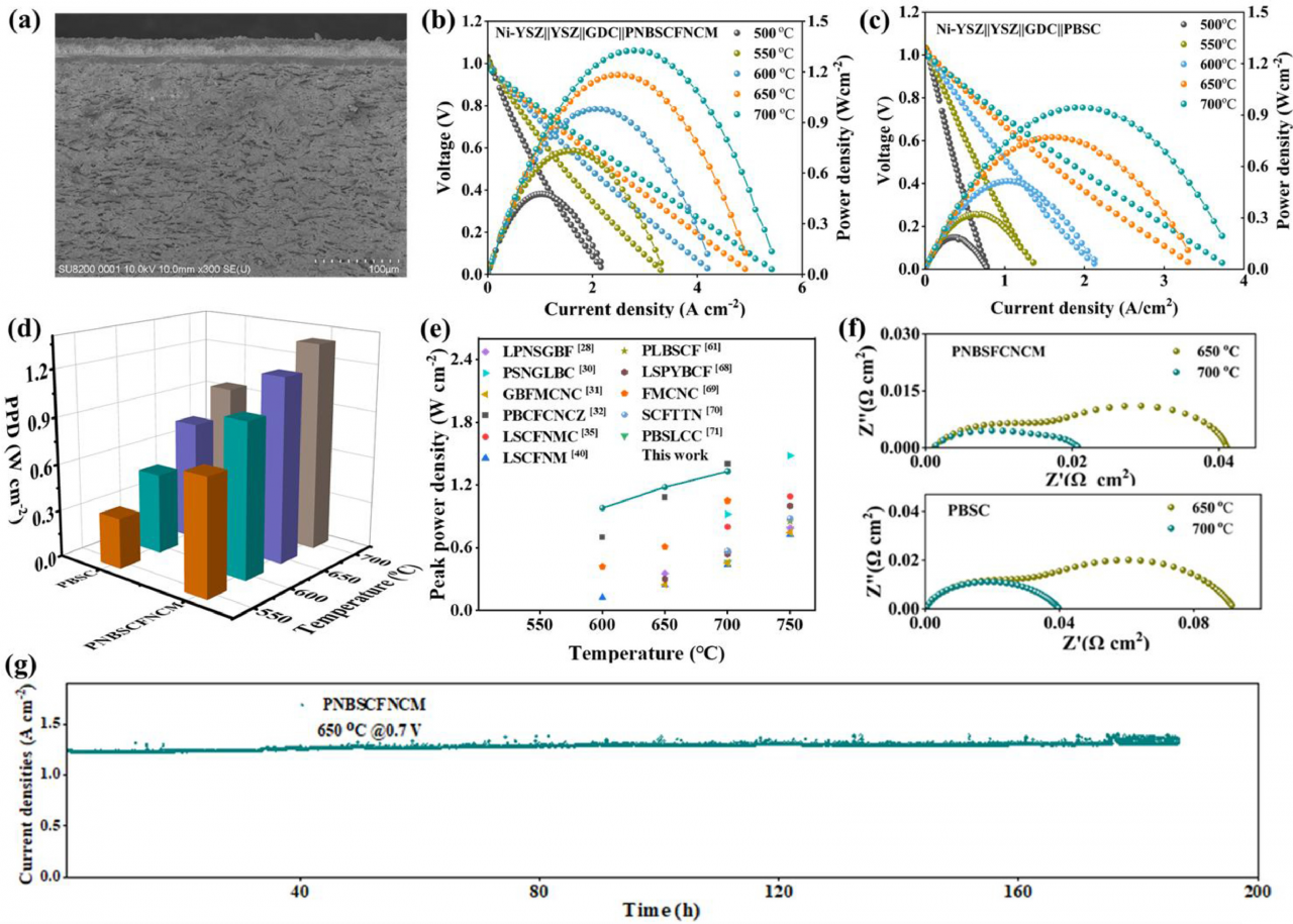 电子科技大学实现高效发“绿电”!机电学院外籍博士后在金属顶刊Acta Materialia报道新型高熵低钴电极