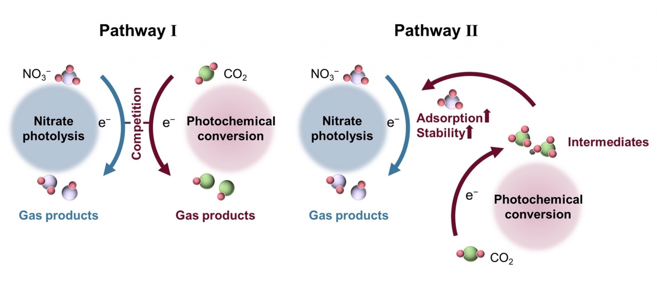 电子科技大学基础院董帆教授团队在大气环境化学领域连续发表重要研究成果