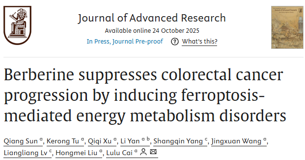 电子科技大学医学院蔡璐璐教授团队在Journal of Advanced Research发表研究成果
