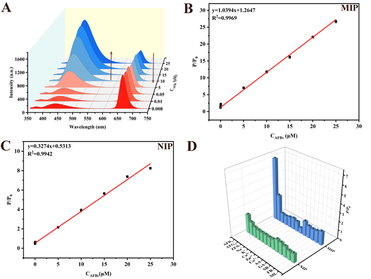 中国农业大学理学院化学系张三兵副教授团队在黄曲霉毒素B1荧光传感检测方面取得重要进展