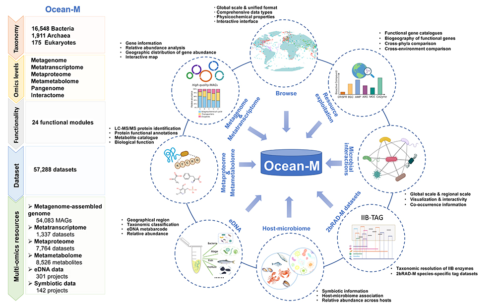 中国海洋大学发布全球海洋微生物综合多组学资源数据库Ocean-M