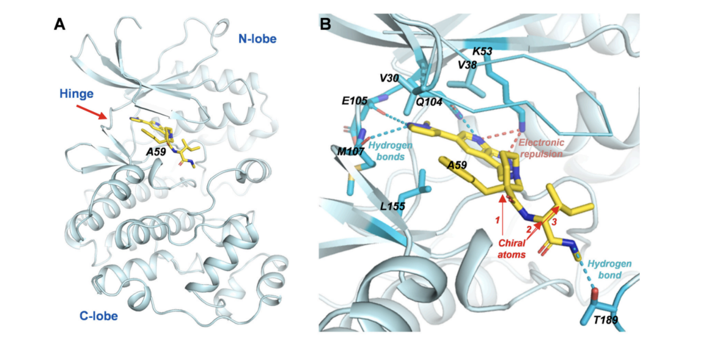 中国农业大学植保学院刘俊峰、王冬立团队报道Pmk1可作为兼具预防和治疗功能的杀菌剂靶标