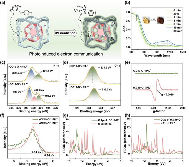 北理工团队揭示分子笼基嵌套结构中电子交流机制在高效仿生催化中的作用