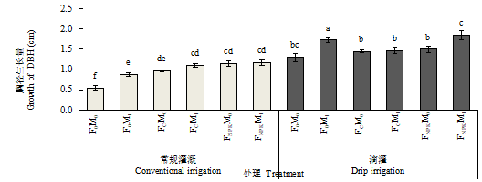 杨树大径材人工林水肥一体化栽培技术取得重要研究进展