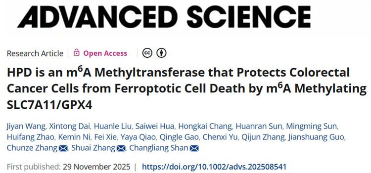南开团队在RNA m6A修饰领域取得重要进展