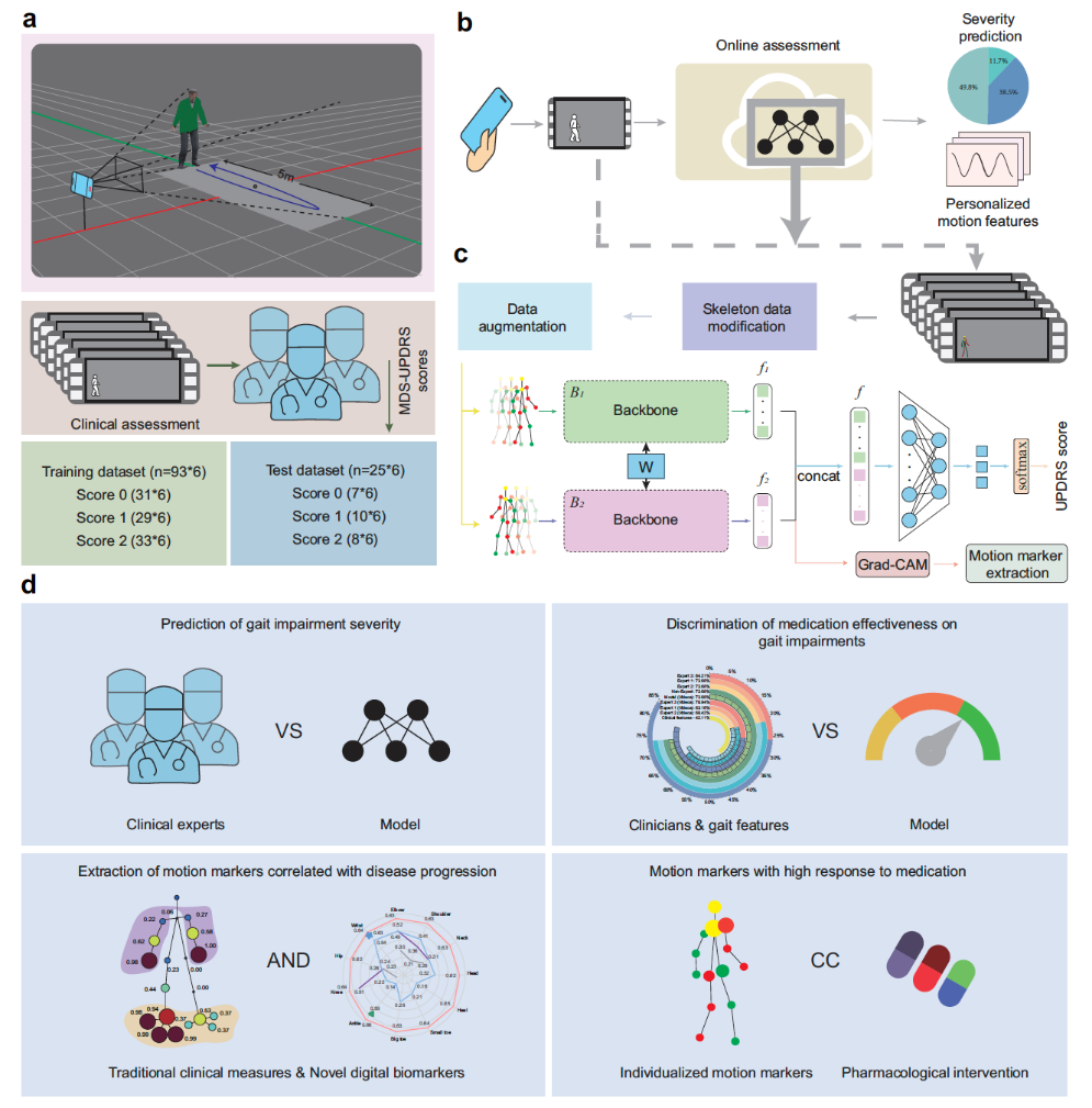 南开研究团队开发帕金森智能评估系统获新进展