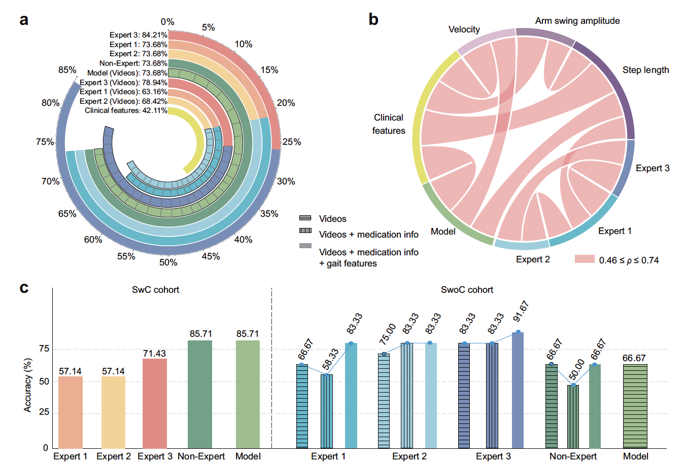 南开研究团队开发帕金森智能评估系统获新进展