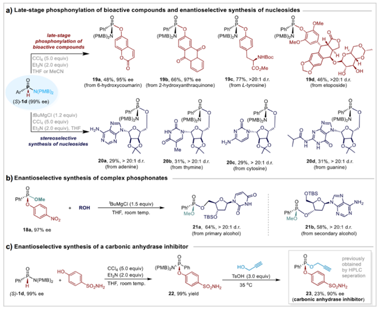 南开团队首次实现手性氢磷酰胺的高效不对称合成
