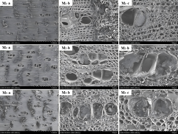 热林中心研究团队在挖掘利用高效真菌诱导沉香形成方面取得新进展