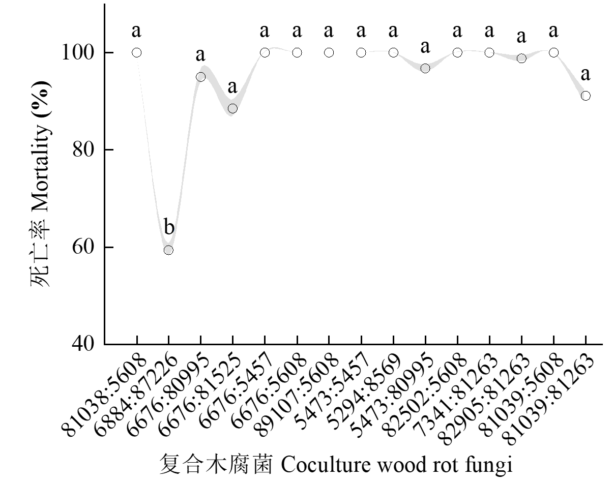 森环森保所筛选出高效抑制松材线虫的复合木腐菌
