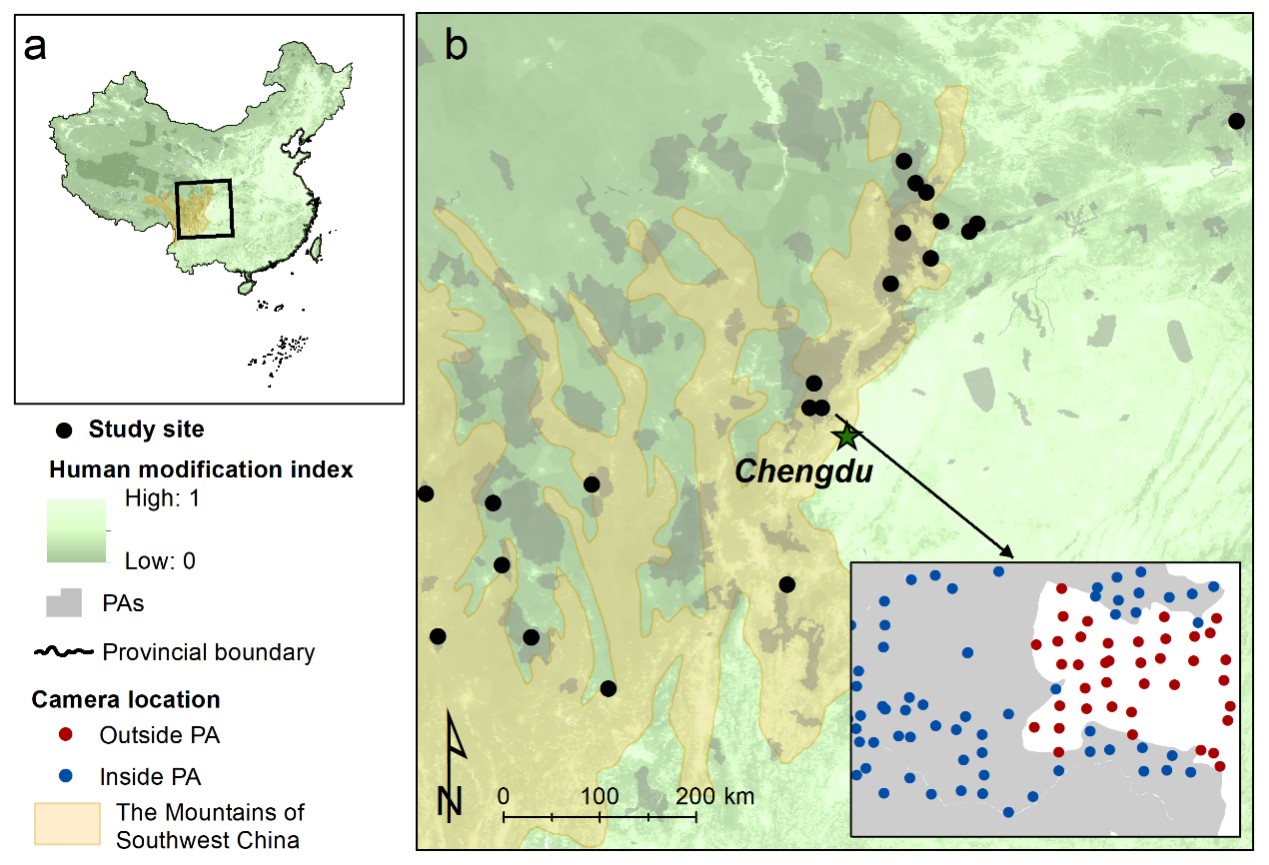 北京大学生命科学学院李晟课题组与合作者揭示保护地缓解人类对兽类行为干扰的关键作用