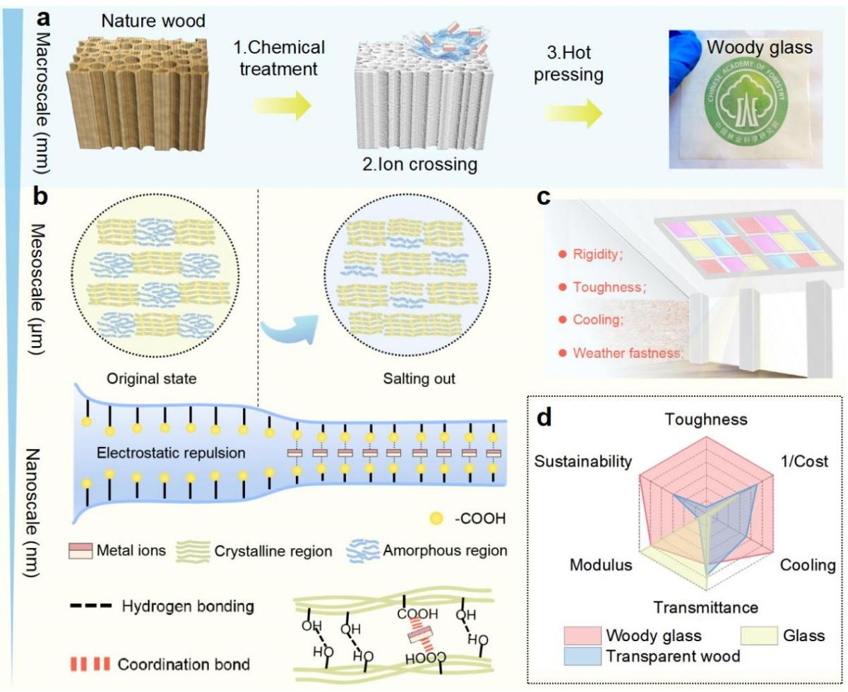 木工所超分子幻彩木玻璃研究成果发表于国际知名期刊AFM