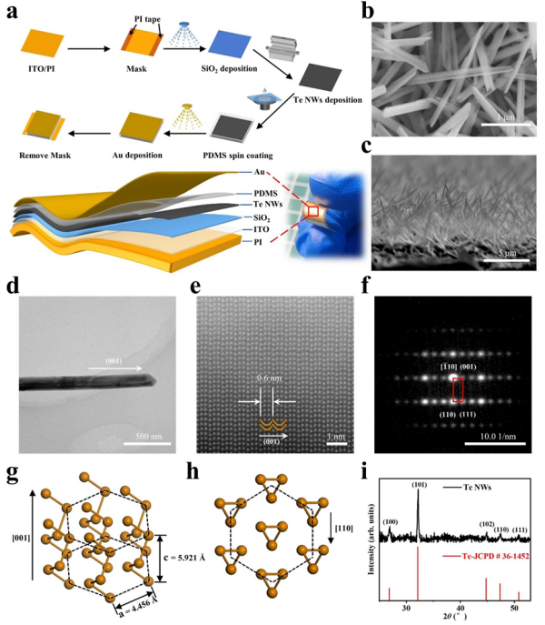 柔性单通道多模态传感器研究取得进展