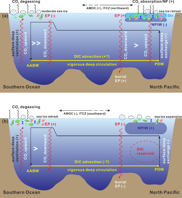太平洋热带寡营养盐区海洋生产力环流驱动机制研究取得进展