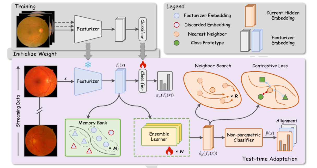 电子科技大学格拉斯哥学院本科生近期在多个领域发表学术论文
