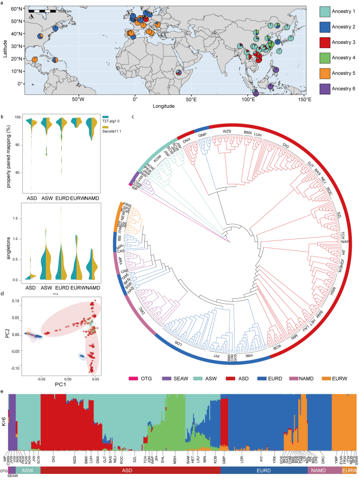 中国农业大学动科学院方美英教授团队在《自然·遗传》发表猪T2T参考基因组 深入解析猪群体结构与体型选择的遗传基础