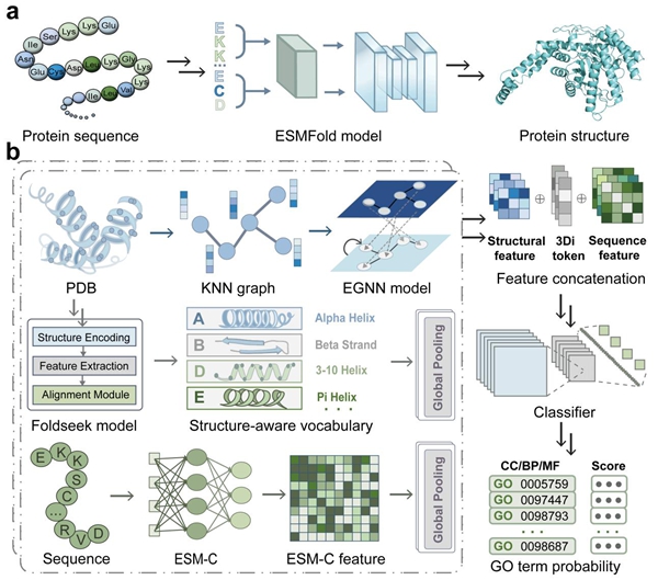 西北农林科技大学（767）信息工程学院李富义教授课题组在蛋白质功能注释研究上取得新进展