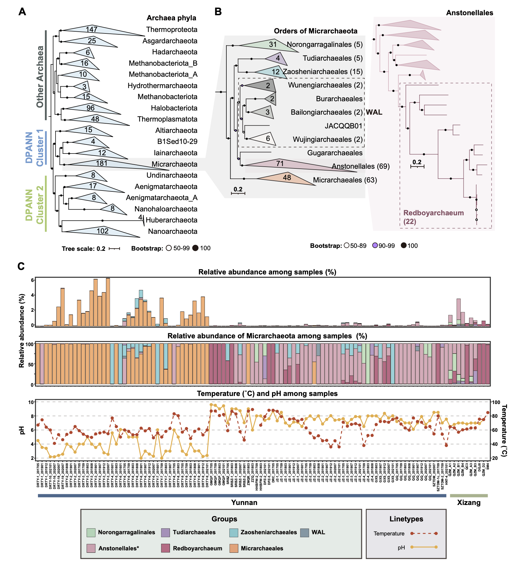 中山大学中大团队首次系统探究DPANN古菌共生现象的进化可逆性