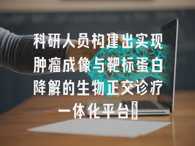 科研人员构建出实现肿瘤成像与靶标蛋白降解的生物正交诊疗一体化平台