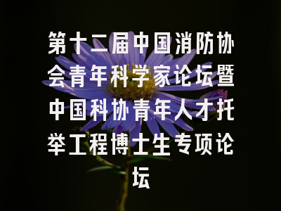 第十二届中国消防协会青年科学家论坛暨中国科协青年人才托举工程博士生专项论坛