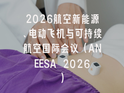 2026航空新能源、电动飞机与可持续航空国际会议（ANEESA 2026）