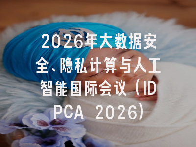 2026年大数据安全、隐私计算与人工智能国际会议(IDPCA 2026)