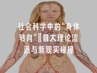 社会科学中的“身体转向”：四大理论流派与新现实碰撞