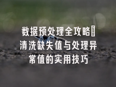 数据预处理全攻略：清洗缺失值与处理异常值的实用技巧
