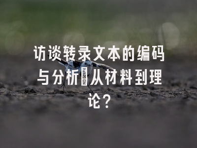 访谈转录文本的编码与分析：从材料到理论？