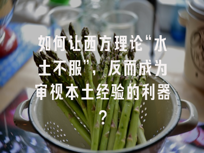 如何让西方理论“水土不服”，反而成为审视本土经验的利器？