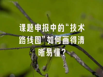 课题申报中的“技术路线图”如何画得清晰易懂？